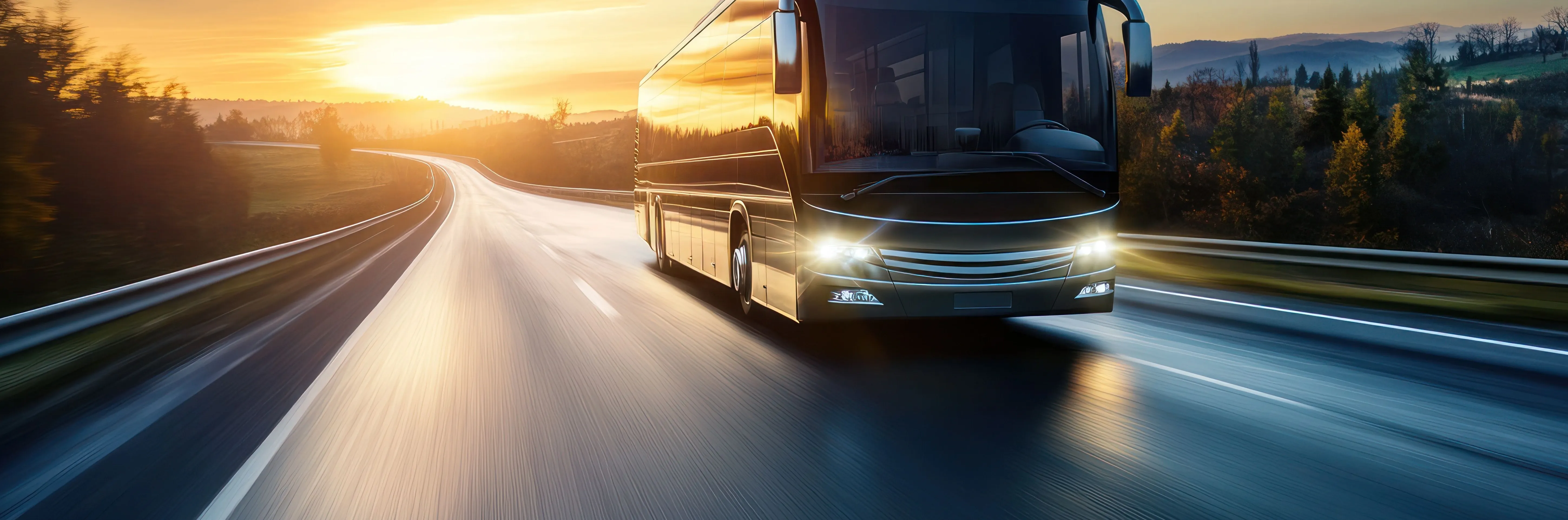 Busses