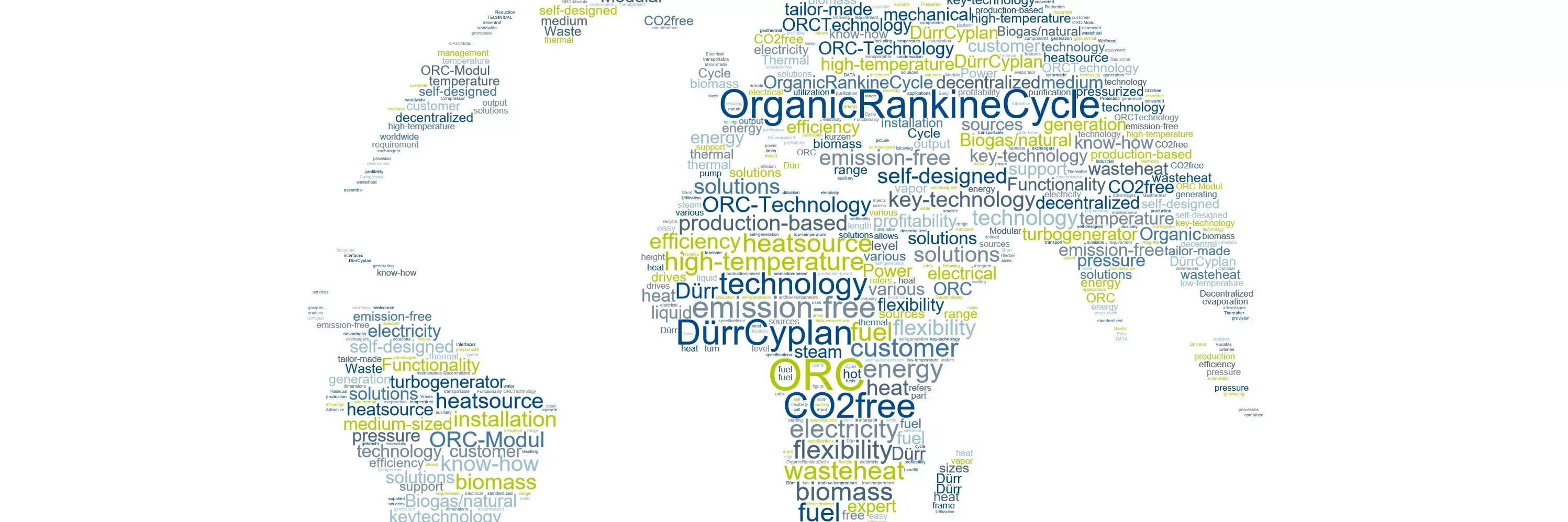 World out of words who describe Dürr Cyplan Ltd.